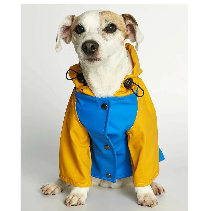 Deep Blue and Yellow