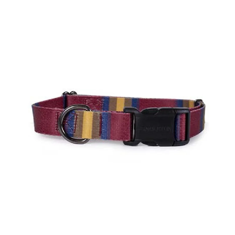 Zion National Park Hiker Collar